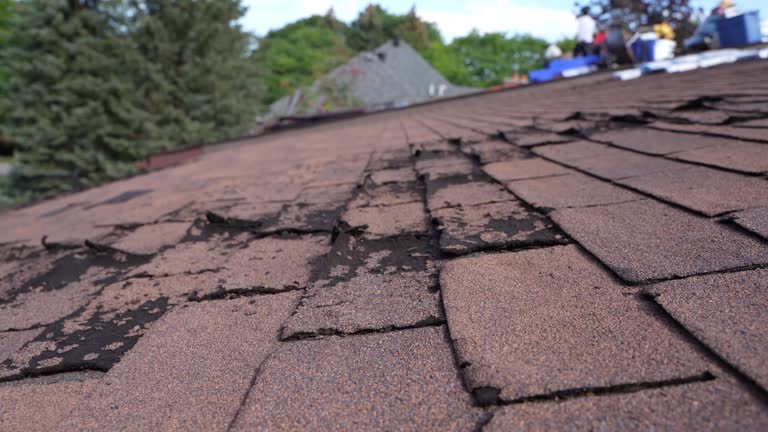 Best Asphalt Shingles Roofing  in Hunter, OH