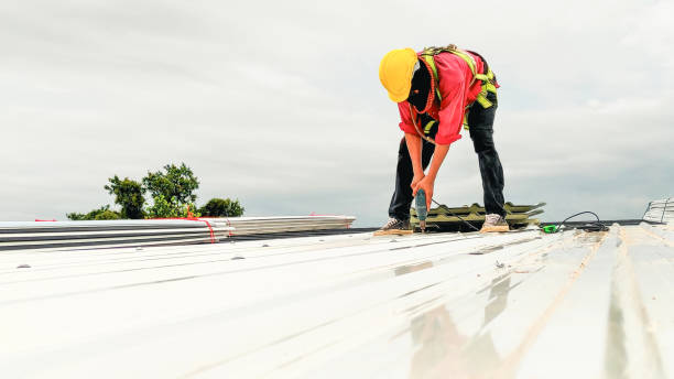 Best Sheet Metal Roofing  in Hunter, OH